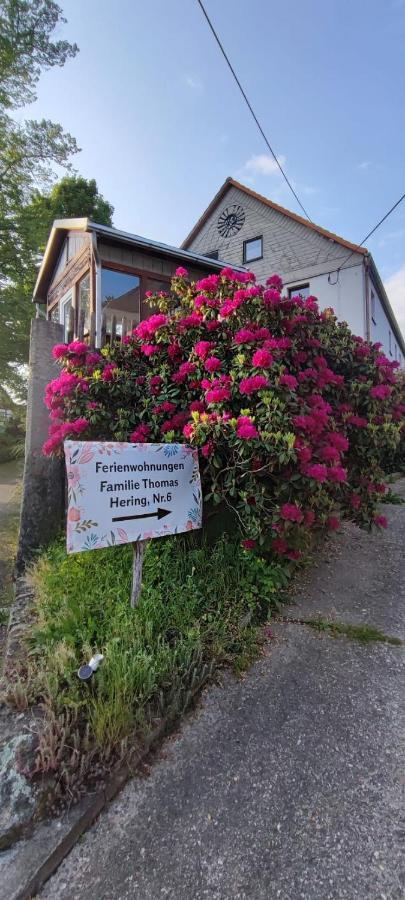 Ferienwohnungen Hering Kleingiesshubel Luaran gambar